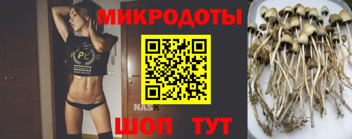 Псилоцибиновые грибы MAGIC MUSHROOMS  Вход с VPN  Элиста 